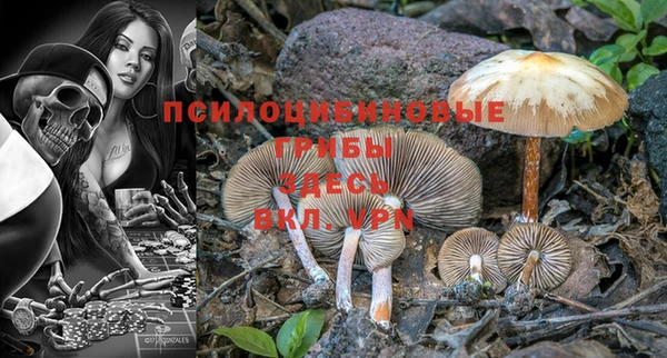 синтетический гашиш Зеленодольск