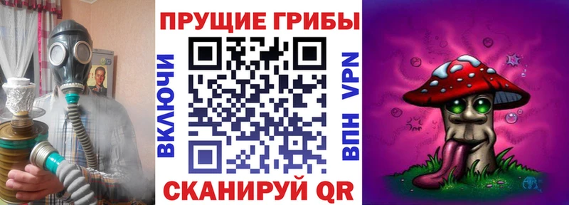 Галлюциногенные грибы Cubensis  Купить закладки  Красновишерск 