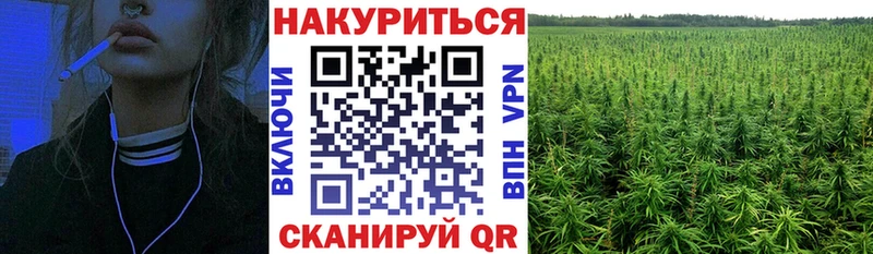 Бошки Шишки семена  Купить  Красновишерск 